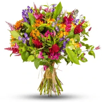 Costa Rica Online Florist - Bukett ljusa blommor Bukett