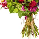 Oman flowers  -  Bouquet of bright flowers Flower Bouquet/Arrangement