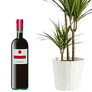 flores de Cagayan de Oro- Planta verde com garrafa de vinho tinto Bouquet/arranjo de flor