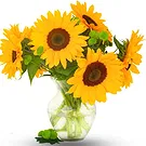 Oman flowers  -  Sunflowers in Vase Flower Bouquet/Arrangement
