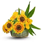 fleuriste fleurs de Thoricourt- Panier de tournesols et de fleurs jaunes Bouquet/Arrangement floral