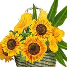 fleuriste fleurs de Thoricourt- Panier de tournesols et de fleurs jaunes Bouquet/Arrangement floral