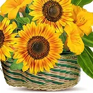 fleuriste fleurs de Thoricourt- Panier de tournesols et de fleurs jaunes Bouquet/Arrangement floral