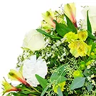 Villsharad blomster- Begravelse hvid buket Blomst buket/Arrangement