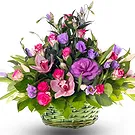 Oman flowers  -  Basket of purple and pink flowers Flower Bouquet/Arrangement