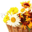 Oman flowers  -  Basket of sunflowers Flower Bouquet/Arrangement