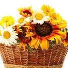 Oman flowers  -  Basket of sunflowers Flower Bouquet/Arrangement