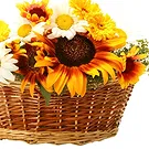 Oman flowers  -  Basket of sunflowers Flower Bouquet/Arrangement