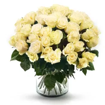 Turkmenistan Online Florist - Bukett med 50 vita rosor Bukett