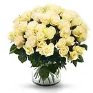 Oman flowers  -  Bouquet of 50 White Roses Flower Bouquet/Arrangement