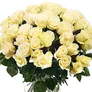Oman flowers  -  Bouquet of 50 White Roses Flower Bouquet/Arrangement