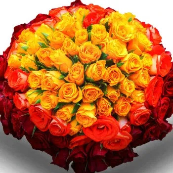 Costa Rica Online Florist - 100 blanda röda orange och gula rosor Bukett