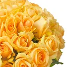 Dvorjane Blumen Florist- Strauß mit 50 gelben Rosen Bouquet/Blumenschmuck