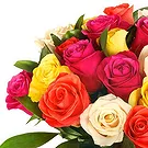 Oman flowers  -  Bouquet of 24 mixed color roses Flower Bouquet/Arrangement
