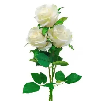 Turkmenistan Online Florist - 3 vita rosor Bukett