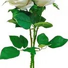 fiorista fiori di Santa Lucija- 3 Rose Bianche Bouquet floreale