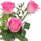 Zaldu flowers  -  3 Pink Roses Flower Bouquet/Arrangement