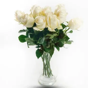 Turkmenistan Online Florist - 9 vita rosor Bukett