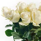 Mattersburg flowers  -  9 White Roses Flower Bouquet/Arrangement