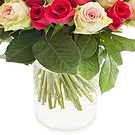 Oman flowers  -  Bouquet of 50 mixed Pink and Red Roses Flower Bouquet/Arrangement