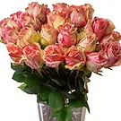 Doppel flowers  -  24 Peach Roses Flower Bouquet/Arrangement