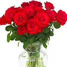 Oman flowers  -  15 Red Roses Flower Bouquet/Arrangement
