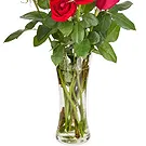 Oman flowers  -  9 Red Roses Flower Bouquet/Arrangement