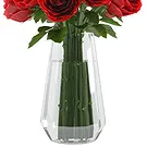 Oman flowers  -  9 Red Roses in vase Flower Bouquet/Arrangement