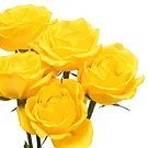 Oman flowers  -  5 Yellow Roses Flower Bouquet/Arrangement