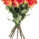Oman flowers  -  Bouquet of 15 orange roses Flower Bouquet/Arrangement