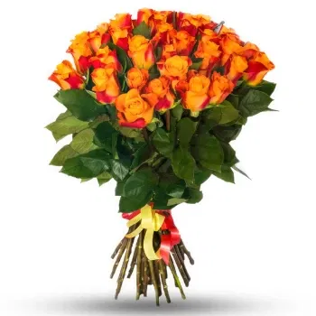 Ö av man Online Florist - Bukett med 24 orange rosor Bukett