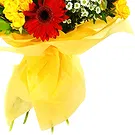 Keetmanshoop (andre) blomster- Bukett med solsikker og rød og oransje flyt Blomsterarrangementer bukett