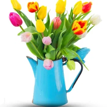 Mongolia online Florist - Bouquet of colourful tulips with vase Bouquet