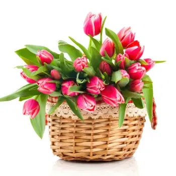 Athens online Florist - Basket of hot pink tulips Bouquet