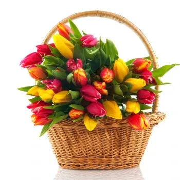 WeekFlowers online virágüzlet - Sárga és piros tulipán kosár Csokor