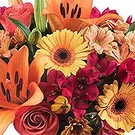 Ain Bin Fuhaid blomster- Orange buket med bamse Blomst buket/Arrangement