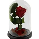 Palia Ampelia flowers  -  Delicate Red Flower Bouquet/Arrangement