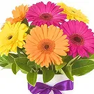 Prokuplje flowers  -  Colorful Spring Flower Bouquet/Arrangement