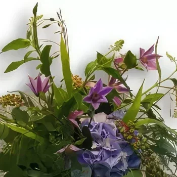 Bern kvety- Myseľ fúkania Aranžovanie kytice