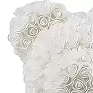 Trinidad Blumen Florist- Luxus weiße Rose Teddy Bouquet/Blumenschmuck