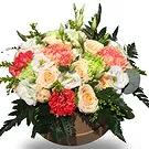Zande blommor- Blommig låda Bukett/blomsterarrangemang
