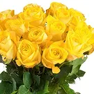 Amsterdam-Zuidoost flowers  -  Yellow roses (40 cm) Flower Bouquet/Arrangement