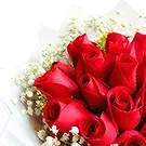 Qingdao flowers  -  Romantic  Red Roses with Baby's Breath & Pape Flower Bouquet/Arrangement