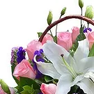 Huaibei bloemen bloemist- Mooie schaduw Boeket/bloemstuk