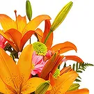 Asipulo flowers  -  Exotic Orange Flower Bouquet/Arrangement
