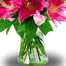 Asipulo flowers  -  Stunning Pink Flower Bouquet/Arrangement