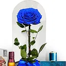 Subic flowers  -  Timeless Allure Trio Flower Bouquet/Arrangement