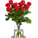 The Hague flowers  -  Red Deep Romance Flower Bouquet/Arrangement