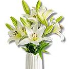 Playa La Arena bloemen bloemist- Een stralend begin: Witte Lelie Schoonheid Boeket/bloemstuk