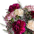 Italy flowers  -  Purple Petals: Bloom Harmony Flower Bouquet/Arrangement